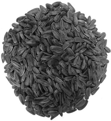 LES GRAINS DOUGLASS - Black Sunflower