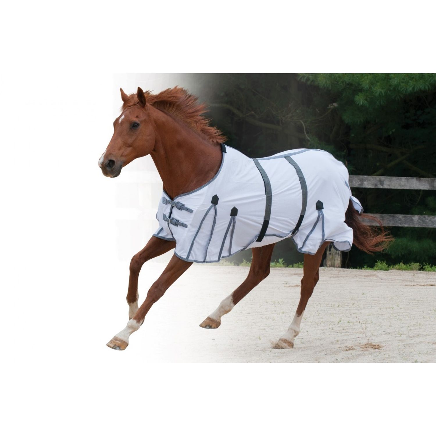 CENTURY - FREEDOM GUSSET fly sheet, Waist: 84"