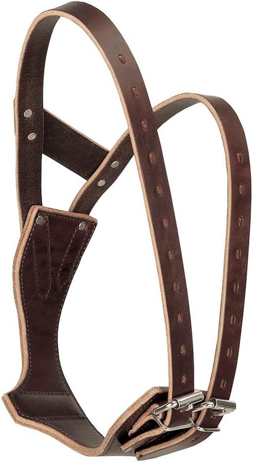 WEAVER - Boxed Miracle Leather Collar, Color: Havana, Size: Small