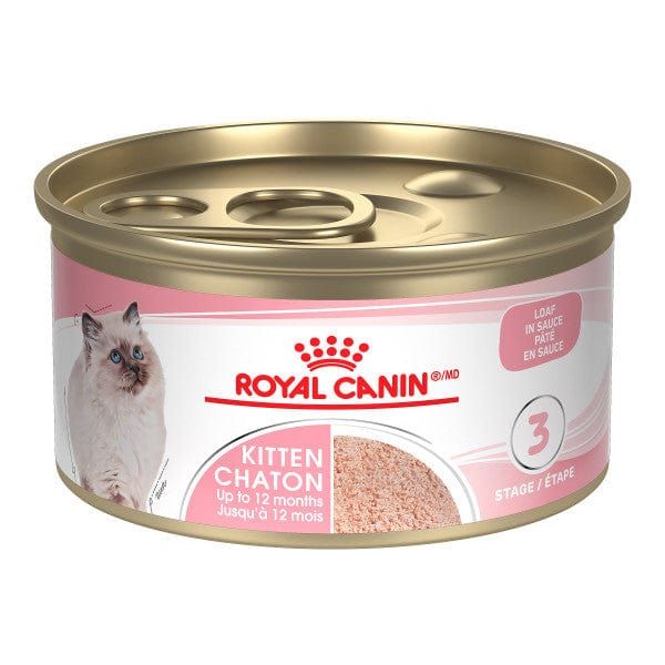 ROYAL CANIN - Kitten Loaf in Sauce Canned Cat Food