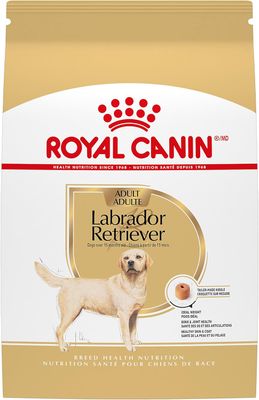 ROYAL CANIN - Labrador Retriever Adult Dry Dog Food