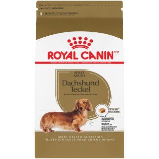 ROYAL CANIN - Breed Health Nutritional Dachshund Adult Dry Dog Food, Format: 4.5kg