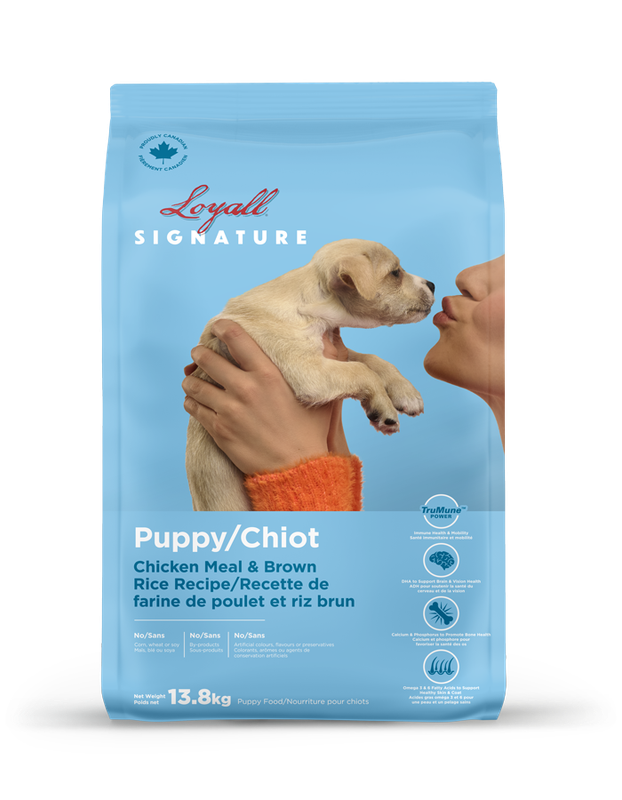 LOYALL - Puppy - All breeds