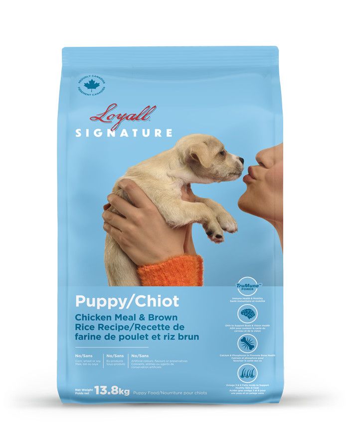 LOYALL - Puppy - All breeds, Format: 13.8kg