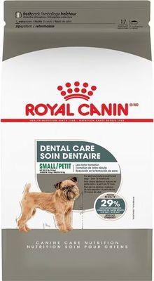 ROYAL CANIN - Small Dental Care Dry Dog Food