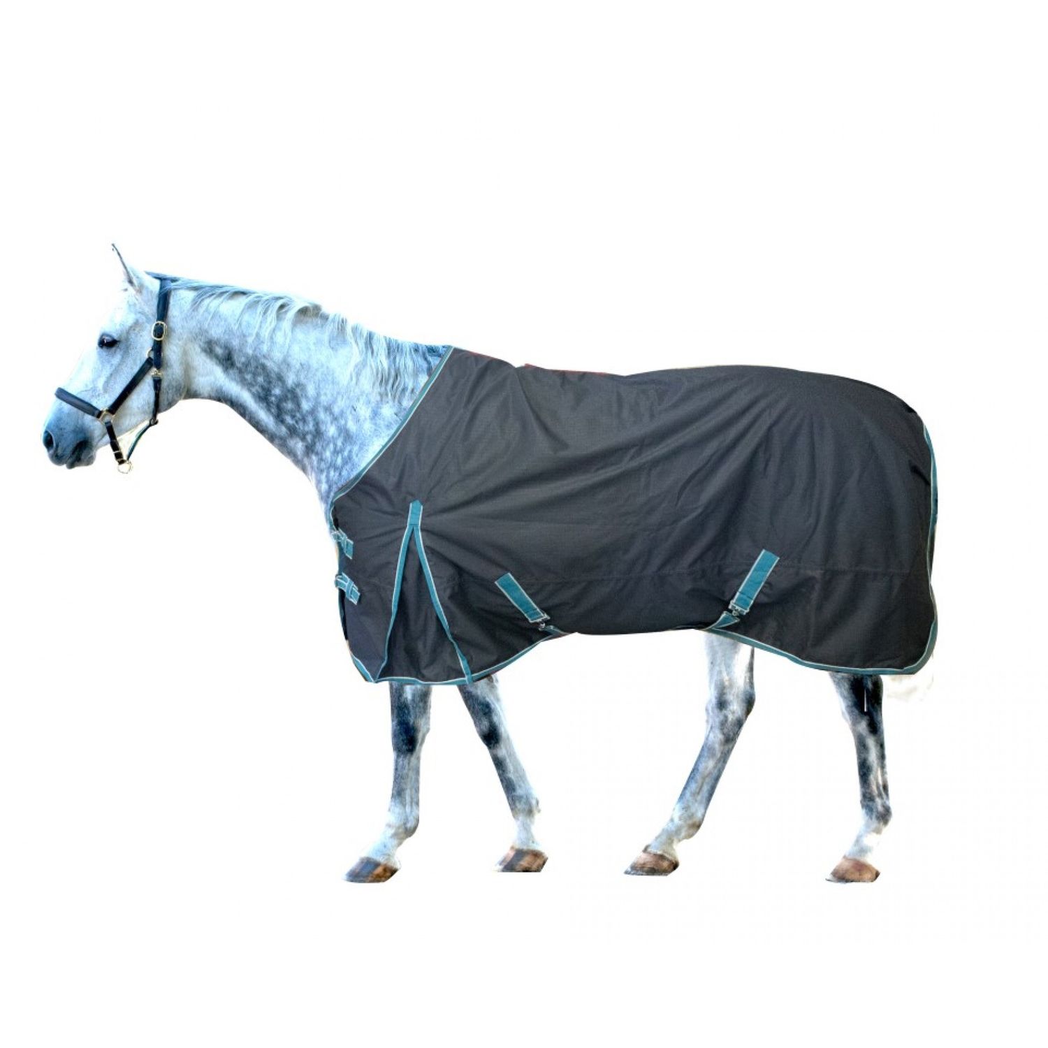 CENTURY - Eco 600D Lightweight 100g Winter Blanket, Color: Marine/Pewter, Size: 70'