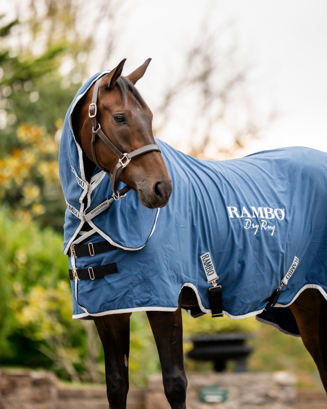 HORSEWARE - Rambo Navy Dry Rug Supreme (No Fill), Piping: Silver, Size: Large