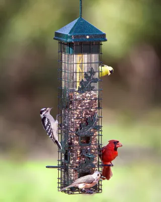 BROME BIRD CARE - Squirrel Solution 200