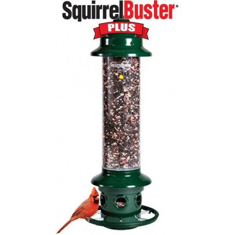 BROME BIRD CARE - Squirrel Buster Plus, Capacity: 3L