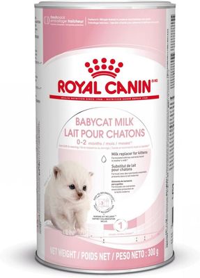 ROYAL CANIN - Babycat Milk Replacer for Kittens