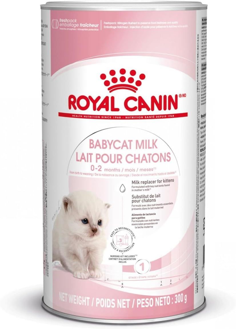 ROYAL CANIN - Babycat Milk Replacer for Kittens, Size: 300g