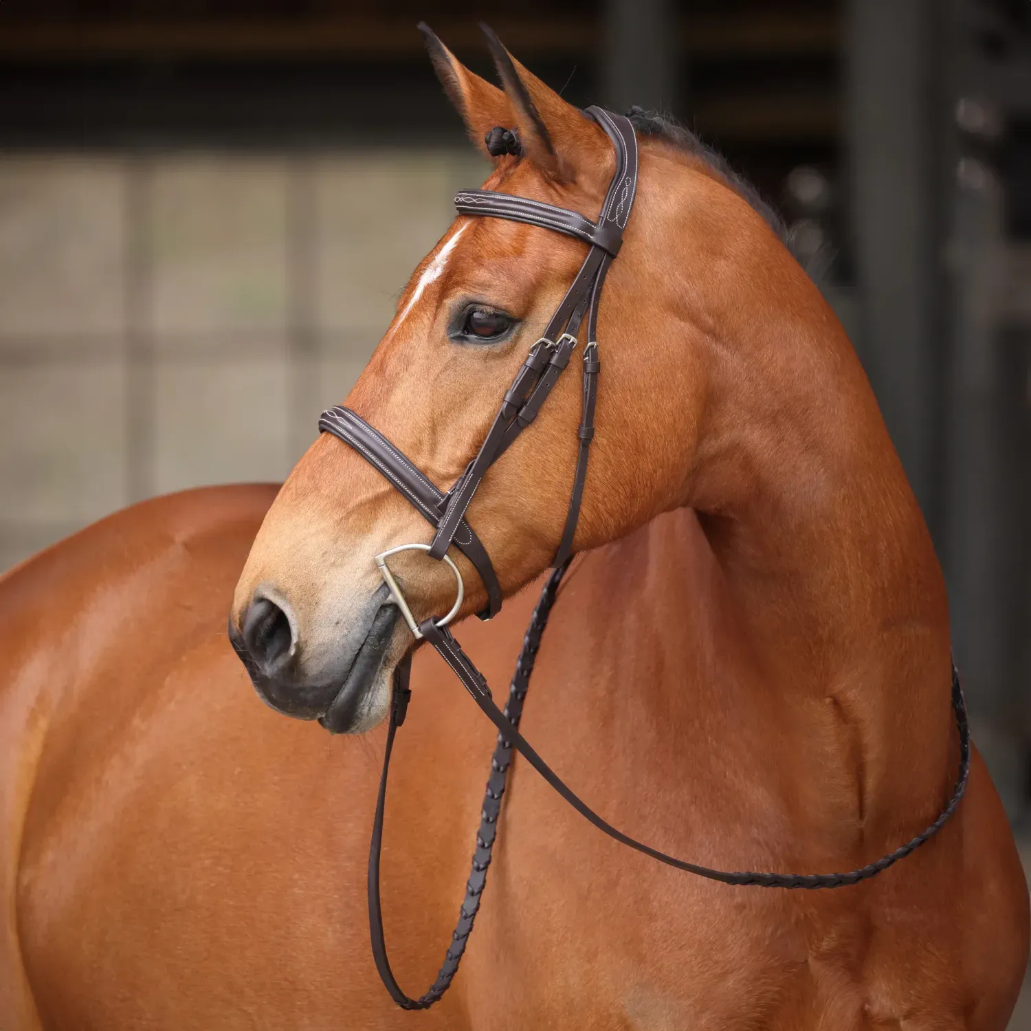 SHIRES - Ocala Avignon Bridle, Color: Havana, Size: Poney