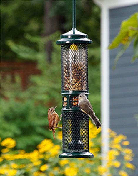 BROME BIRD CARE - Squirrel Buster Nut Feeder, Capacity: 1.3lbs