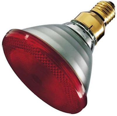 RANCH CUNICOLE - Philips Heat Lamp
