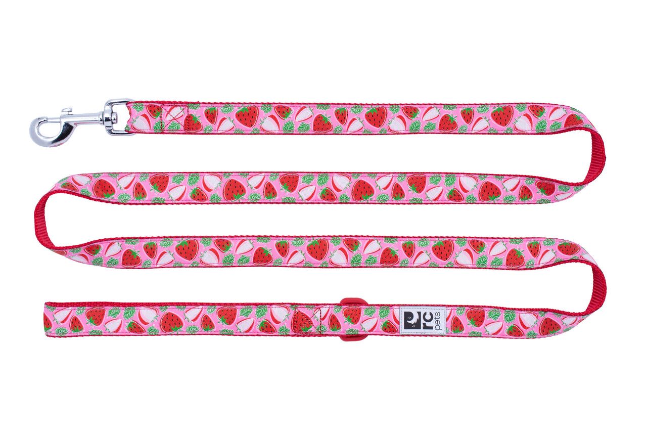RC PETS - Strawberries Nylon Dog Leash, Size: 1'' x 6'