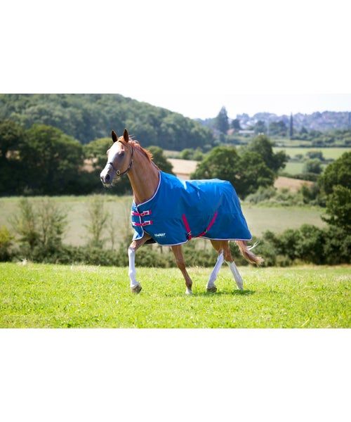 SHIRES - Tempest pony rain sheet, Color: Teal, Size: 48''