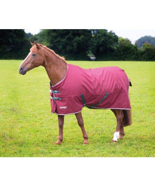 SHIRES - Tempest 200g pony blanket, Color: Maroon, Size: 51"