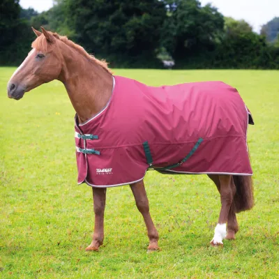 SHIRES - Tempest 200g pony blanket