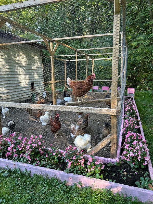 RUSTIK - 1" x 1" Hexagonal Wire Mesh