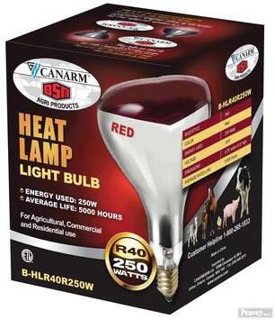 CANARM - Red Heated Light BSM, Unité de mesure: 250W