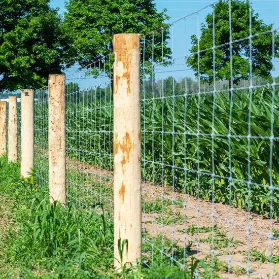 RUSTIK - Knot Fixed Farm Fence 12.5G (2"x4")