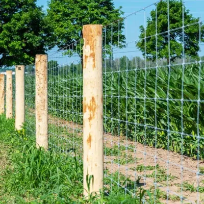 RUSTIK - Knot Fixed Farm Fence 12.5G (2"x4")