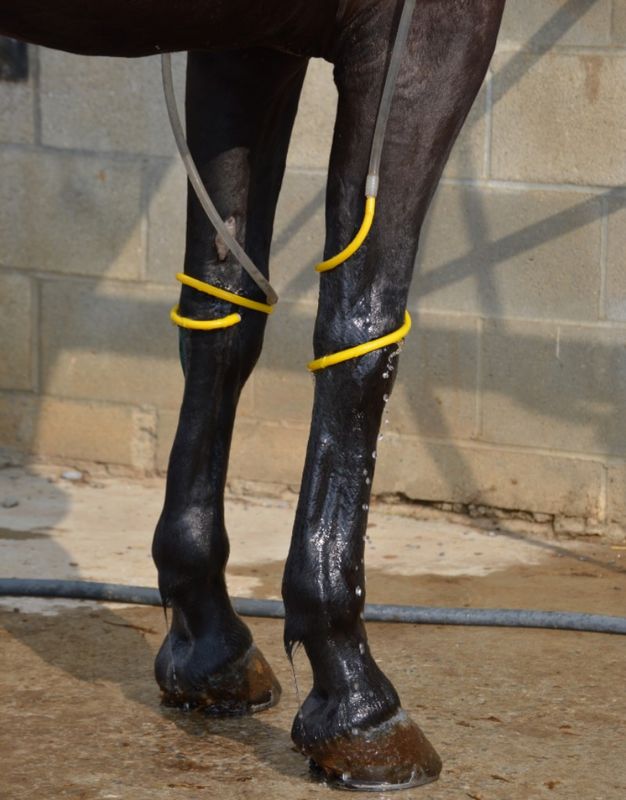 JACKS - Leg soaker