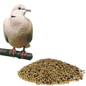 LES GRAINS DOUGLASS - Dove Mix Birdfeed, Size: 2.7kg