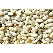 LES GRAINS DOUGLASS - Safflower Seeds, Size: 2.15kg