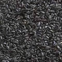 LES GRAINS DOUGLASS  - Nyjer Seed, Size: 2.20kg