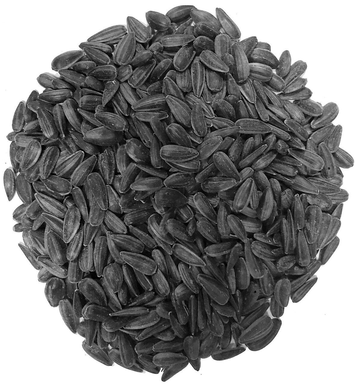 LES GRAINS DOUGLASS - Black Sunflower, Size: 1.65kg