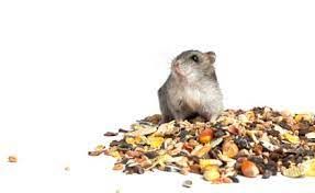 LES GRAINS DOUGLASS - Hamster/Gerbil Feed Mix, Size: 2.49kg