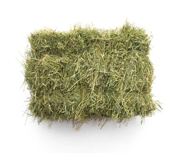 LES GRAINS DOUGLASS - Compressed Hay Bale, Size: 40lbs