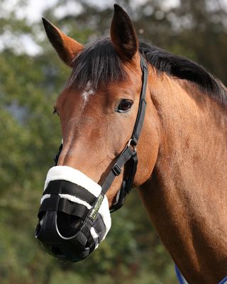 SHIRES EQUESTRIAN - Deluxe Comfort Grazing Muzzle