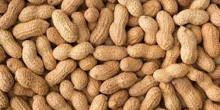 LES GRAINS DOUGLASS - Peanuts with Shell, Size: 1.15kg
