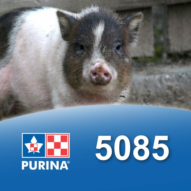 CARGILL PURINA - Food for Mini Pig, Format: 25kg