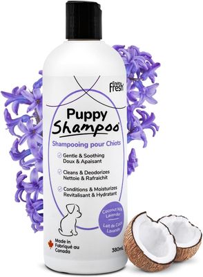 ENVIROFRESH - Lavender &amp; Coconut Milk Gentle Puppy Shampoo