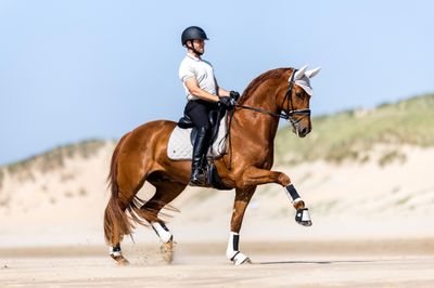 BR EQUESTRIAN - Ethan Polo Shirt Dove