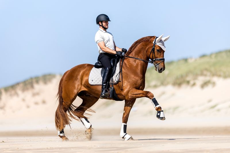 BR EQUESTRIAN - Ethan Polo Shirt Dove