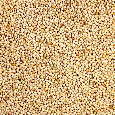 LES GRAINS DOUGLASS - White millet, Format: 2.7kg