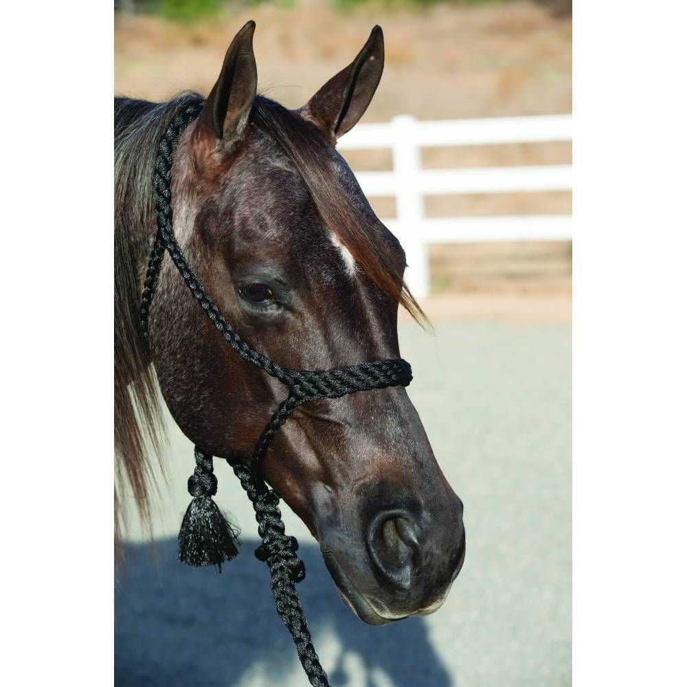 PROFESSIONAL'S CHOICE - Cowboy Braided Rope Halter, Color: Noir