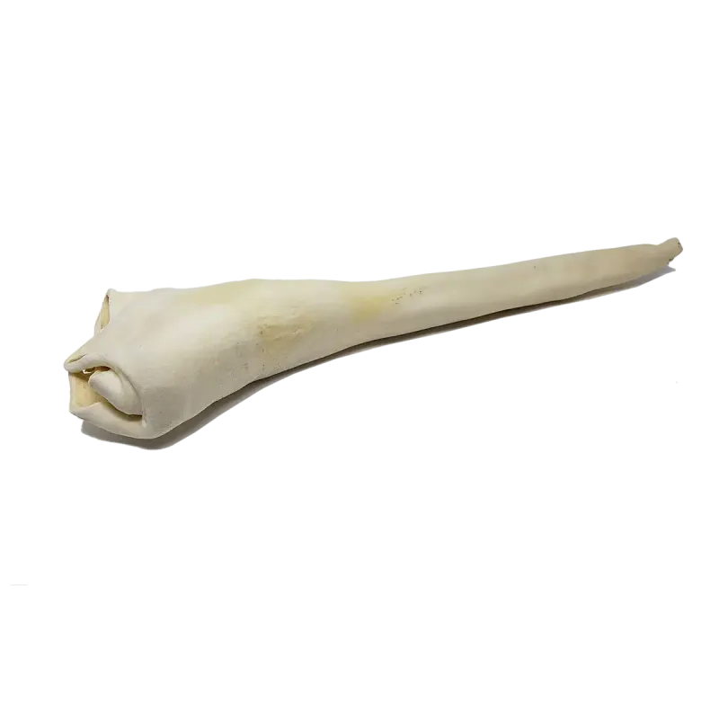 OPEN RANGE - Whole Cow's Tail