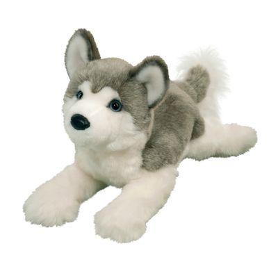 DOUGLAS - Geno DLux Husky