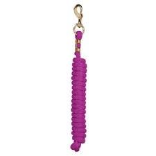 WEAVER - Poly Lead Raspberry Rope with Brass Snap, Size: 10pieds