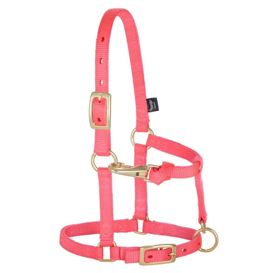WEAVER - Miniature Horse Adjustable Chin &amp; Throat Snap Diva Pink Halter, Size: Average
