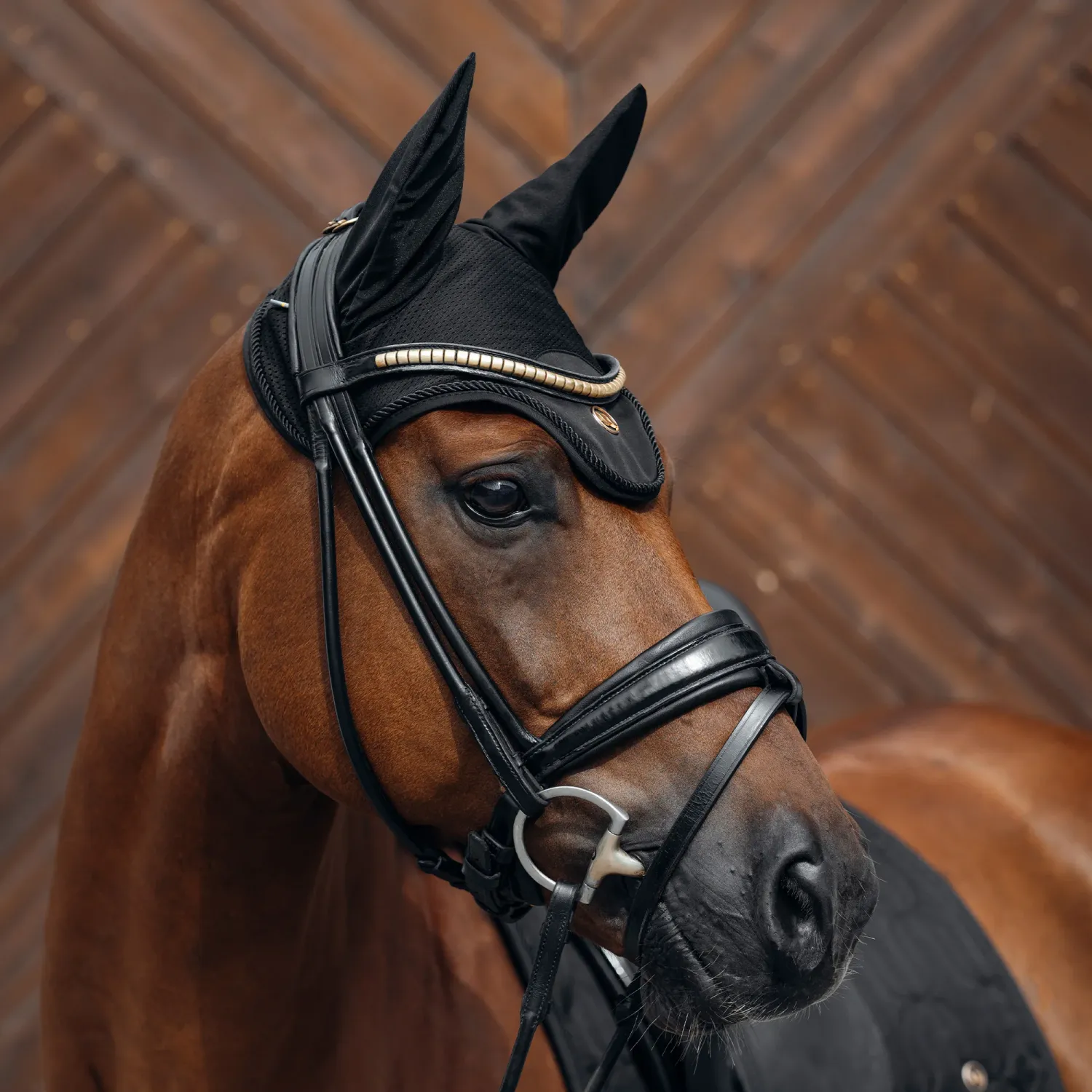 BACK ON TRACK - Deep Night Bonnet, Color: Noir