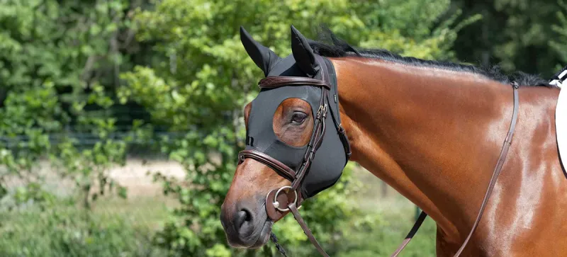 BACK ON TRACK - Spirit Soothing Hood