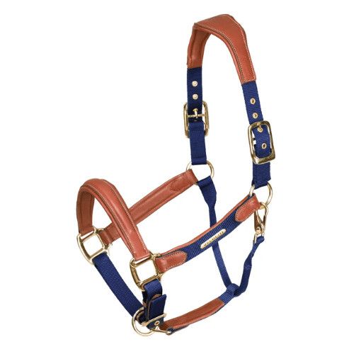 VELOCITI LUSSO - Padded Leather Navy Headcollar, Size: Poney