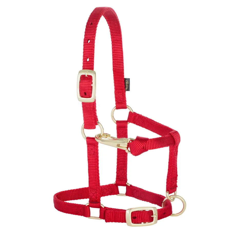 WEAVER - Miniature Horse Adjustable Chin &amp; Throat Snap Red Halter, Size: Average
