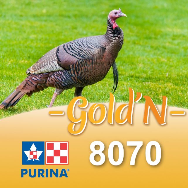 PURINA CARGILL - Gold'N Game Bird Plus Fine Crumble, Size: 25kg